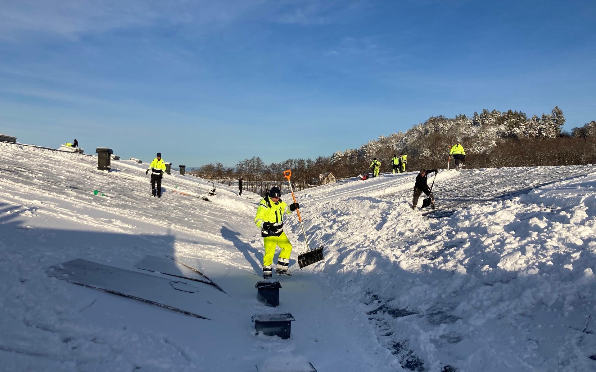 Snömassorna skottas ner för hand, och körs sedan över kanten med snöslunga. 