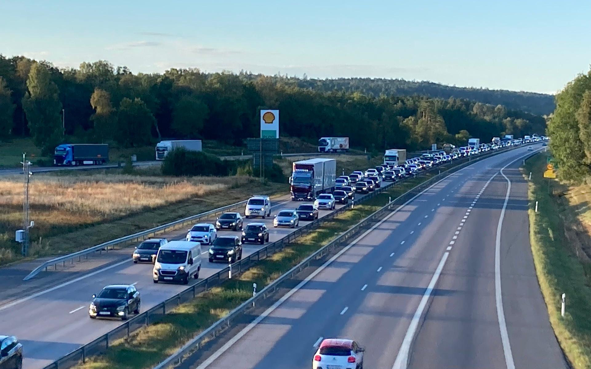 Köerna ringlar sig till Sandsjöbacka.