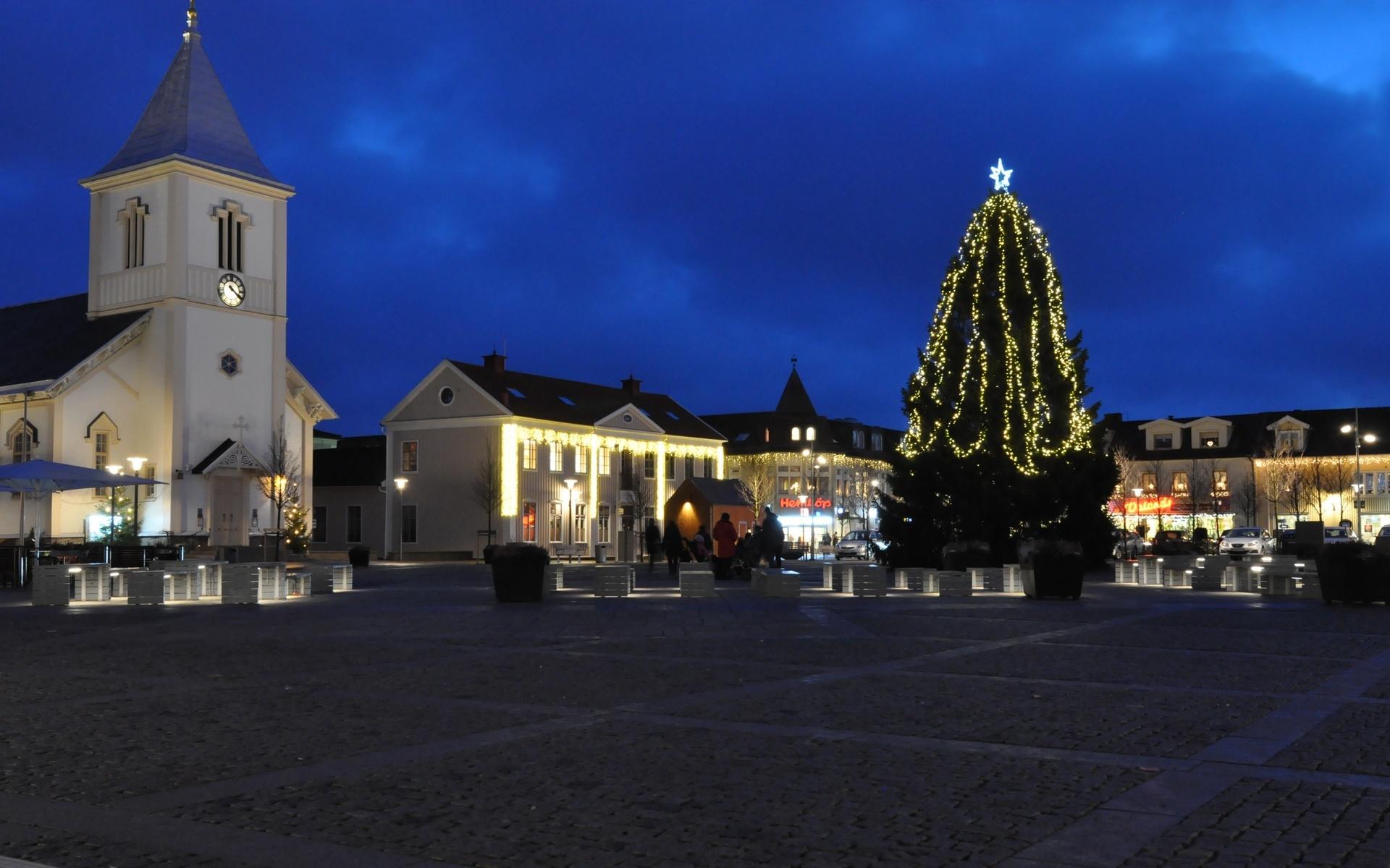 2013 års julgran hade en glimrande stjärna på toppen.