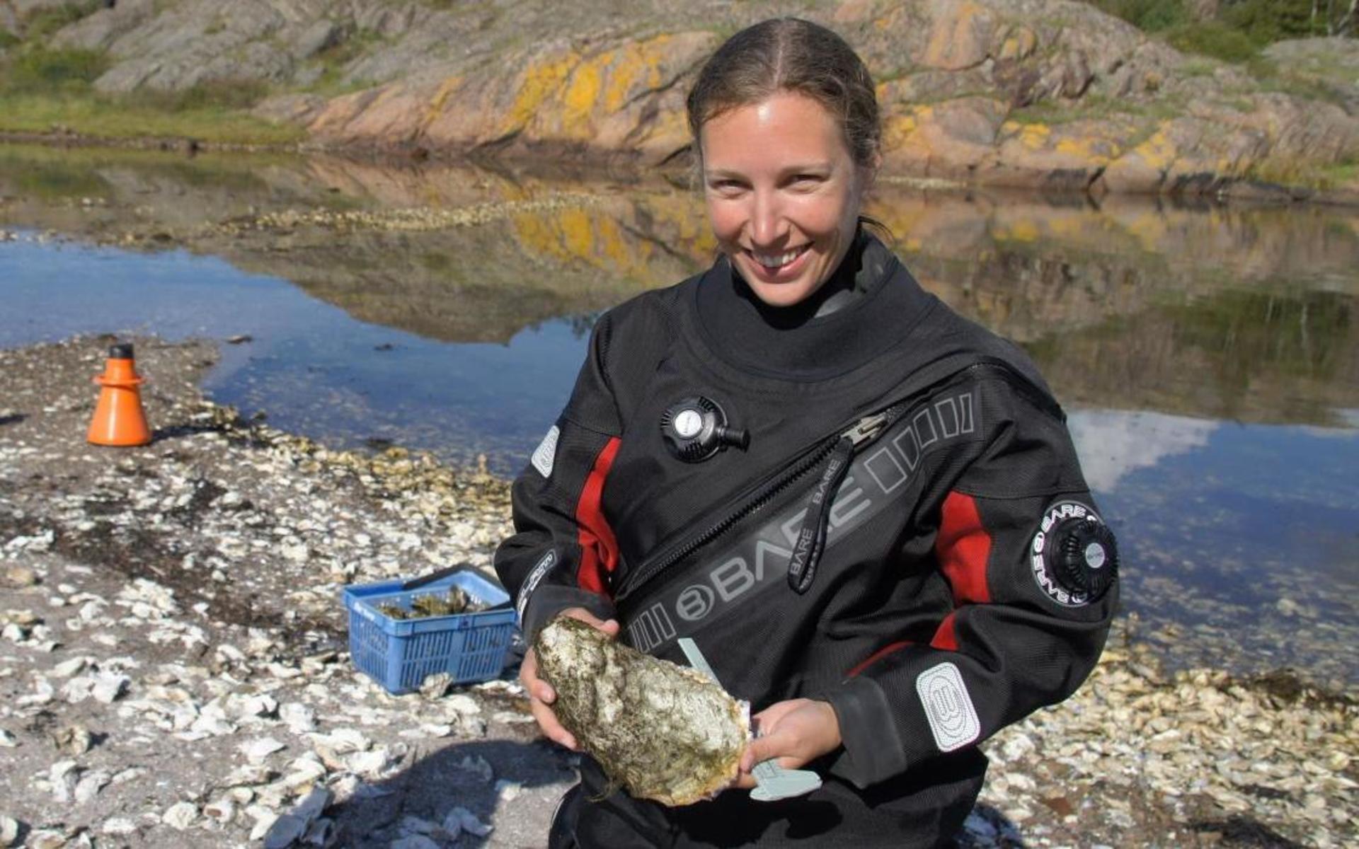 Åsa Strand har forskat på japanska jätteostronet sedan 2010. Nu leder hon projektet, Dynamo, som ska kartlägga och inventera den invasiva arten. 