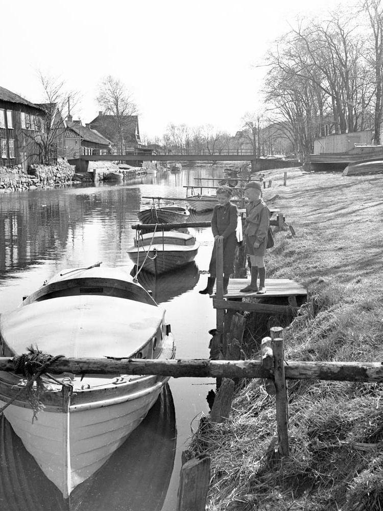 Kungsbackaån en majdag 1947.