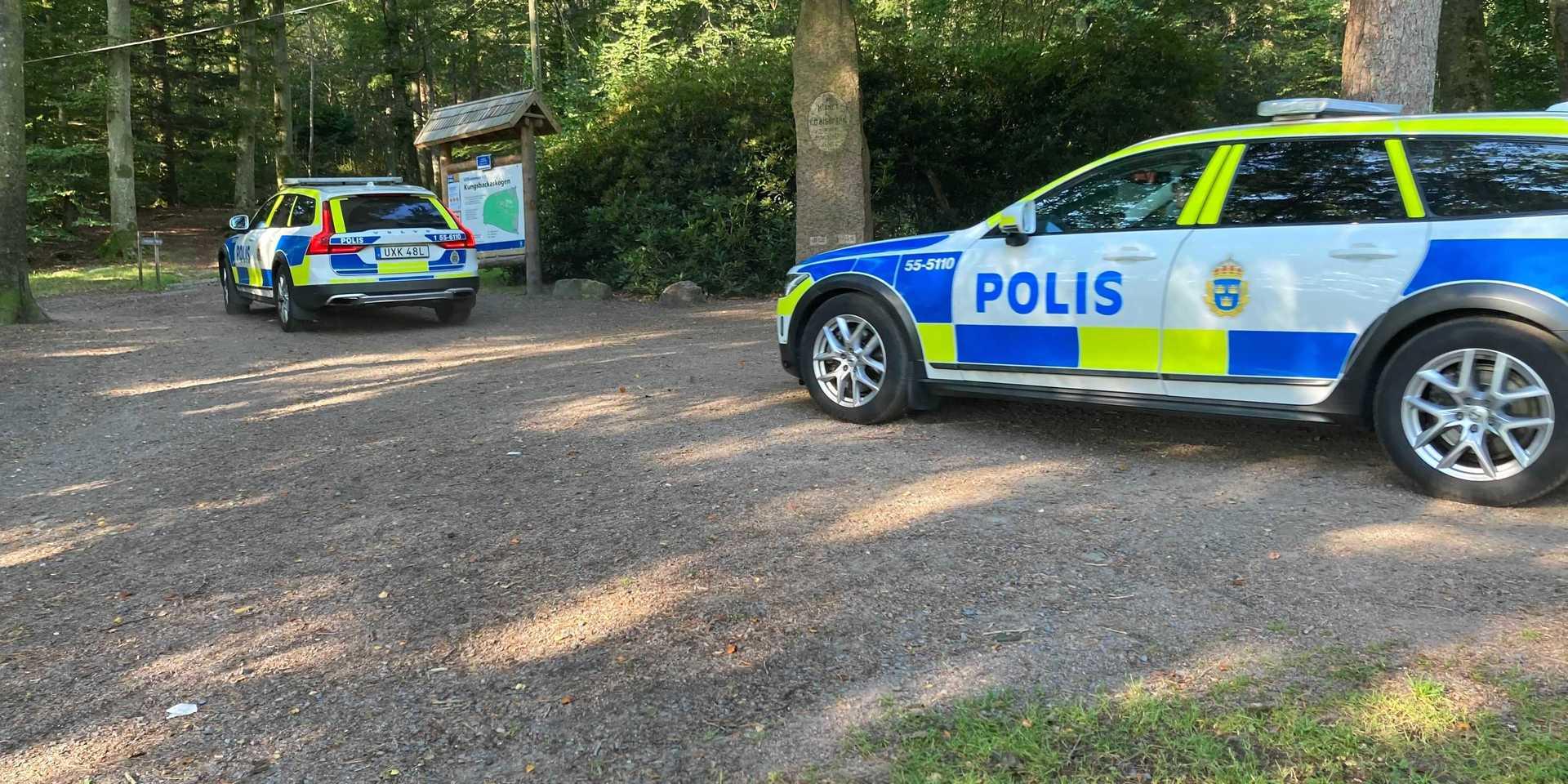 Natten till den 10 september blev en flicka våldtagen i Kungsbackaskogen. En man i 25-årsåldern döms nu till fängelse för brottet.