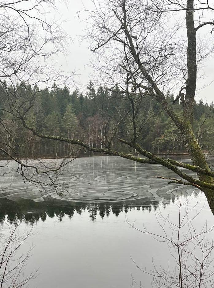 Tölödalen i februari.