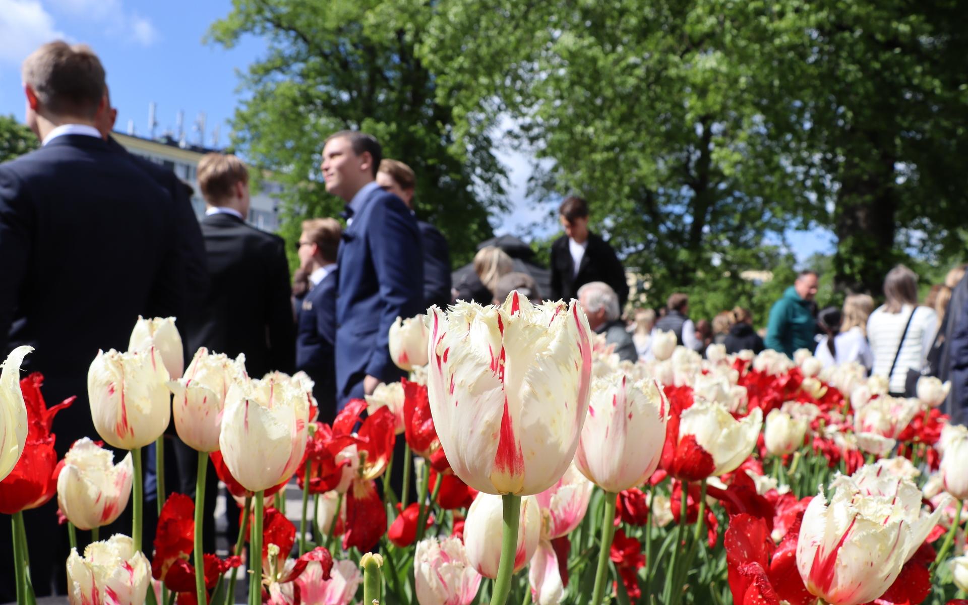 Fredagens balmingel i Badhusparken lockade många.