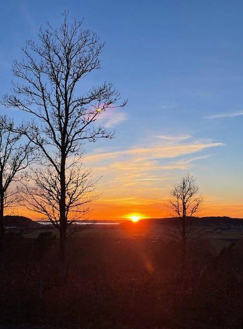 En låg sol i Fjärås Bräcka.