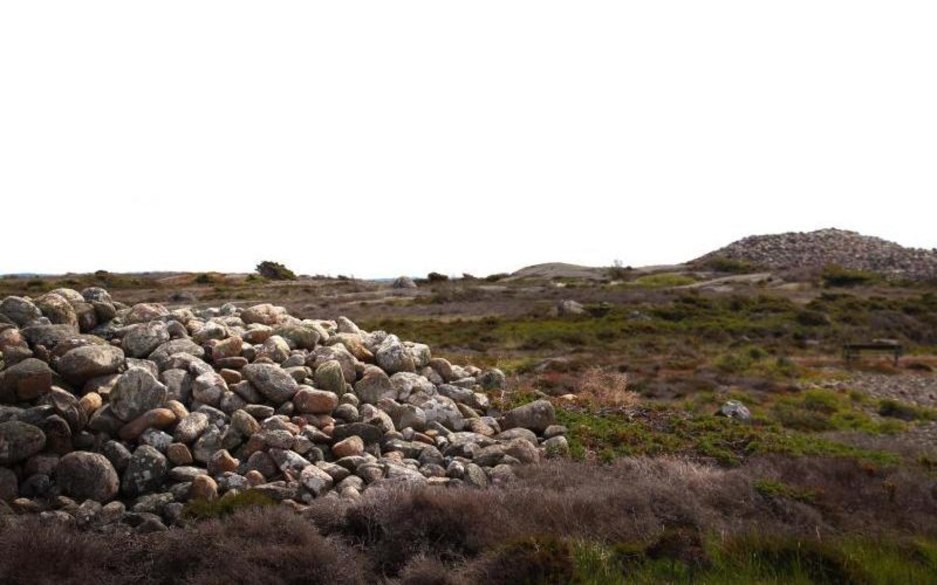 I naturreservatet finns flera bronsåldersrösen som skadats av klättrande besökare. 