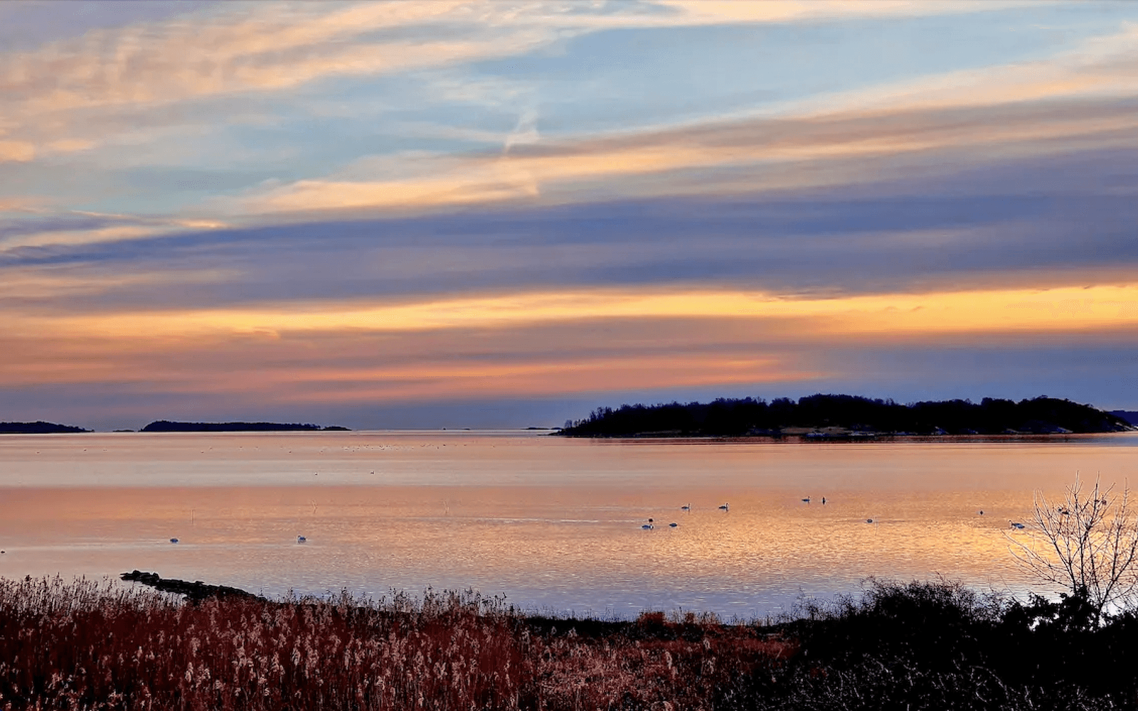 Kungsbackafjorden och Kalvö i rosa skimmer.