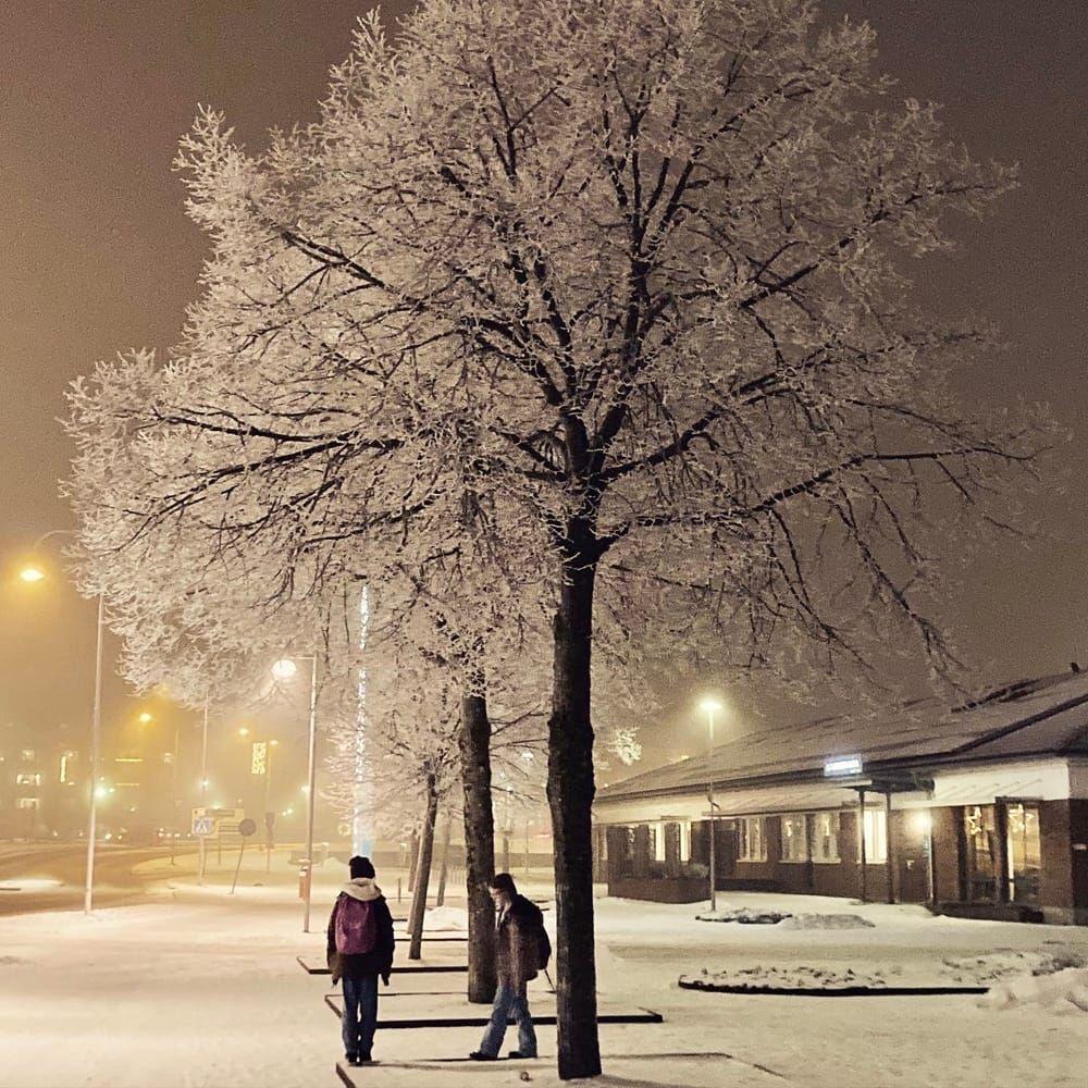 Kall väntan utanför Elof Lindälvsgymnasiet, 16 december. 