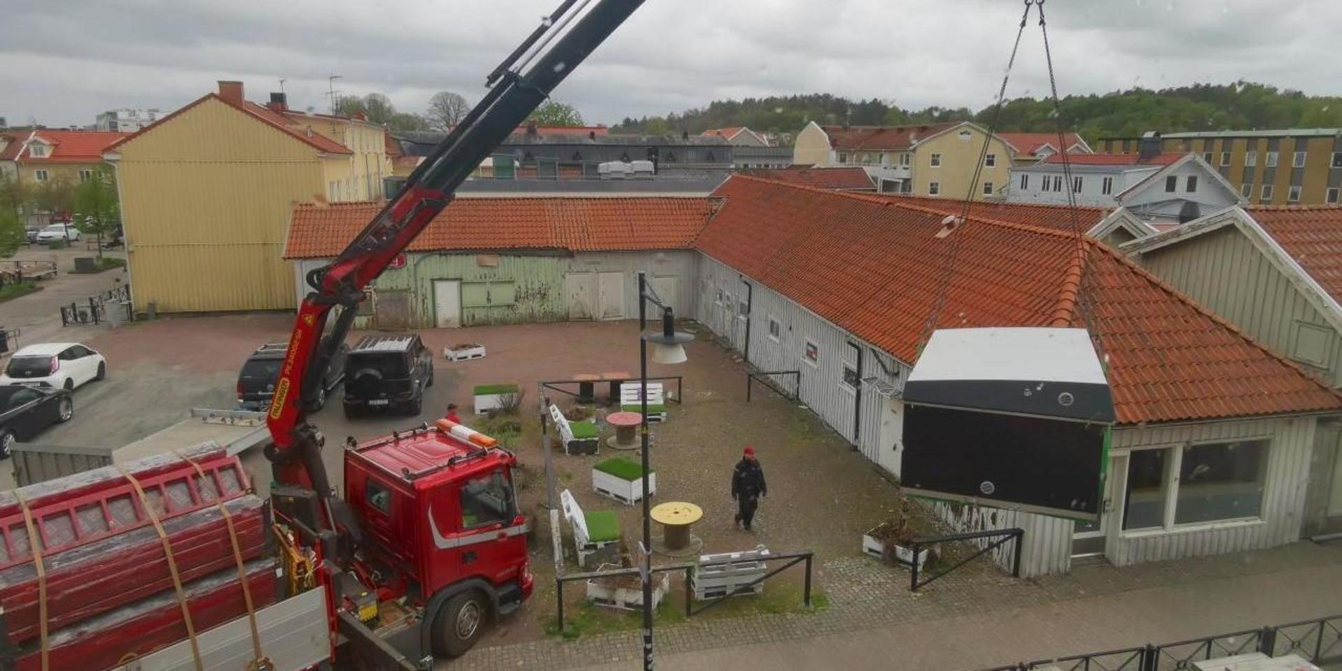 Baren anlände som en skänk från ovan under torsdagsförmiddagen. 