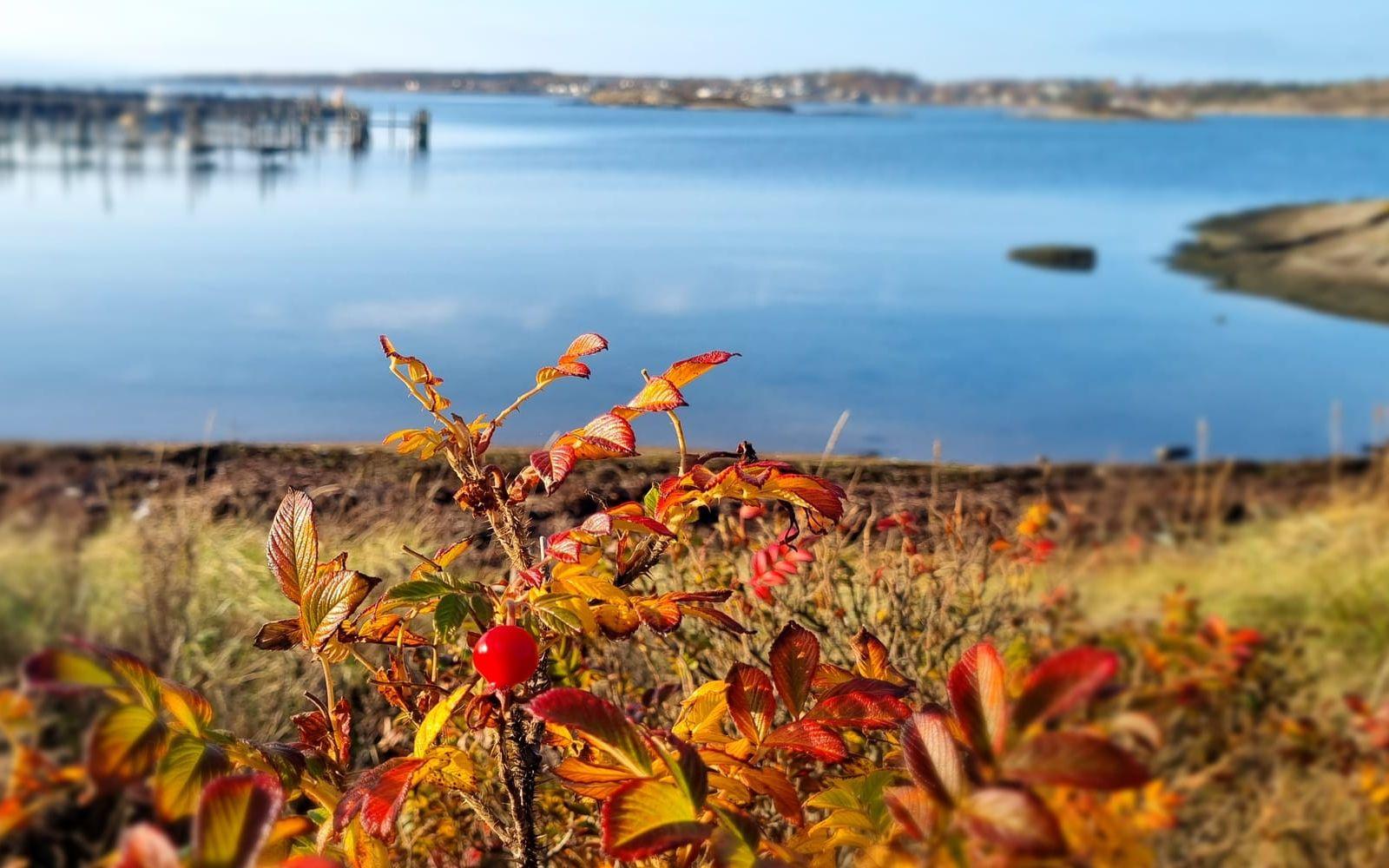 Ett hedersomnämnande får Paul Young för den här bilden som är tagen vid Kuggavik, Åsa.